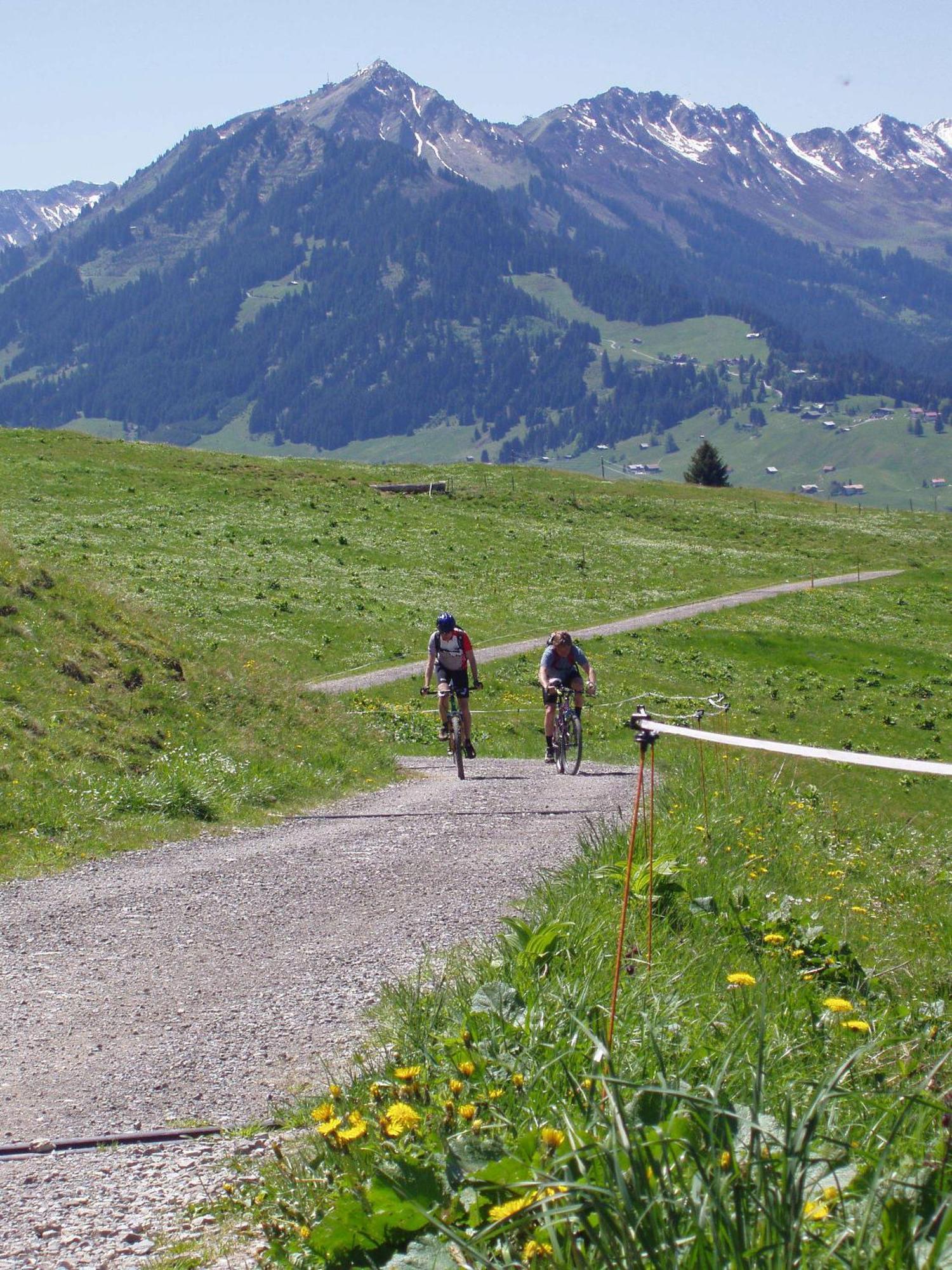 Gaestehaus Zur Faerbe Apartments Oberstdorf Ngoại thất bức ảnh